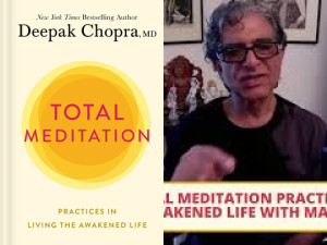 Total Meditation: Practices in Living the Awakened Life